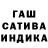 Марихуана сатива Elbrus Dadashov