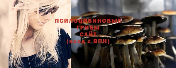 PSILOCYBIN Алзамай