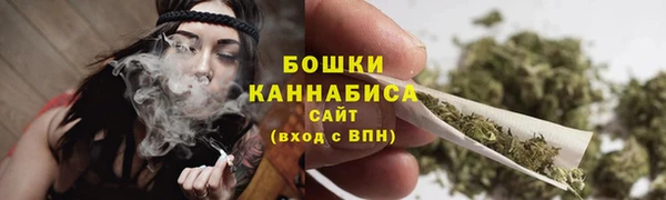 сатива Аша