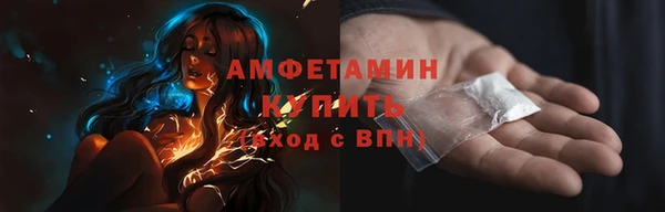 PSILOCYBIN Алзамай