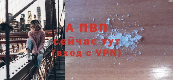 сатива Аша