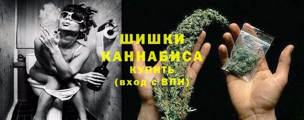 PSILOCYBIN Алзамай