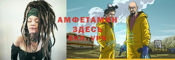 сатива Аша