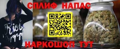 дмт Можайск