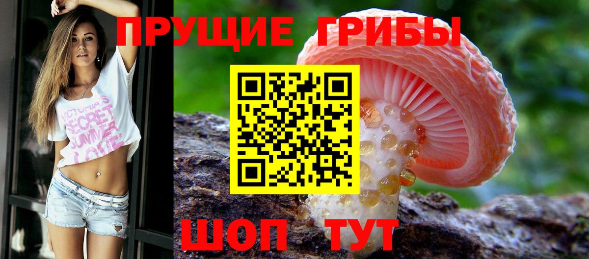 Галлюциногенные грибы Psilocybine cubensis  Вход с VPN  купить наркотик  Псилоцибиновые грибы GOLDEN TEACHER  Беслан 